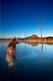 Big Bear Lake